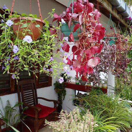 Gem Villa ウェリガマ エクステリア 写真