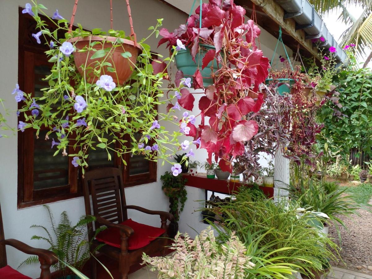 Gem Villa ウェリガマ エクステリア 写真