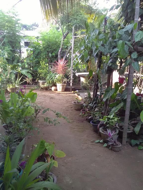 Gem Villa ウェリガマ エクステリア 写真