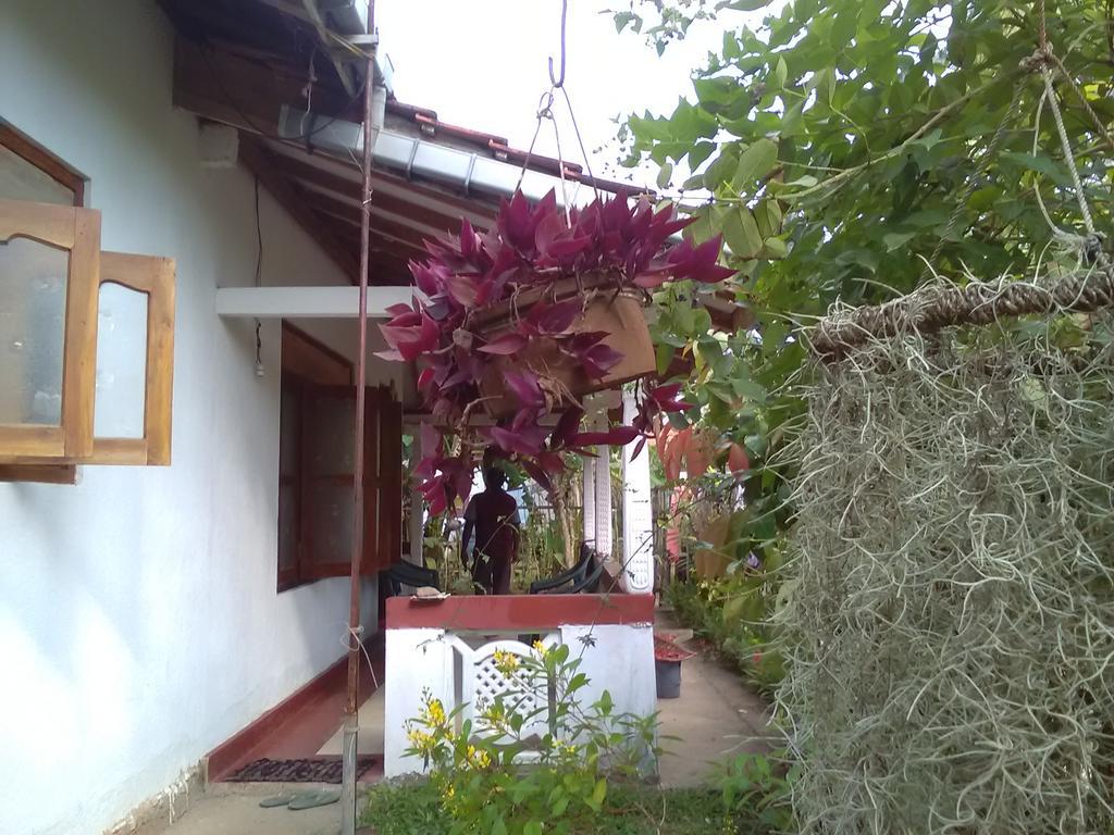 Gem Villa ウェリガマ エクステリア 写真